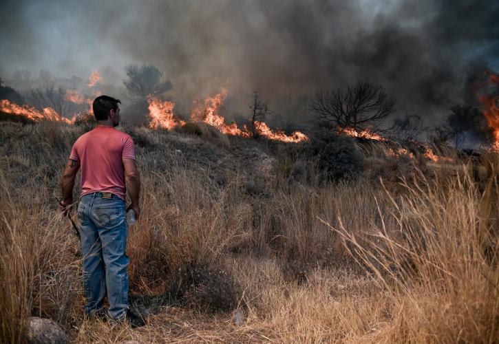 Πυρκαγιά σε χαμηλή βλάστηση στα Νεόκτιστα Ασπροπύργου