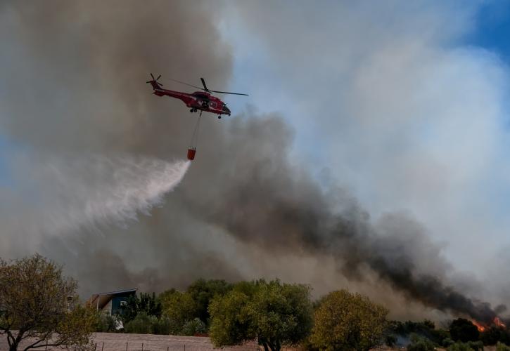 Πυρκαγιά στο Αργάσι της Ζακύνθου - Ισχυρές πυροσβεστικές δυνάμεις στο σημείο