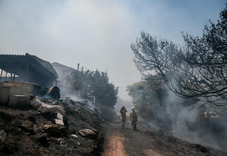 Πυρκαγιά στην Κερατέα: Πολλές εστίες και αναζωπυρώσεις - Μάχη να μην περάσει στον εθνικό δρυμό Σουνίου