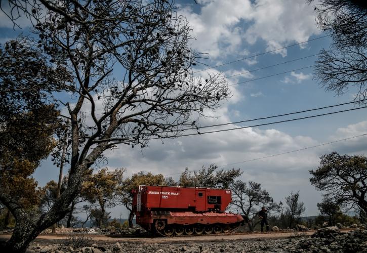 Σε ύφεση η πυρκαγιά στην περιοχή Κάζα στα Βίλια - Συνεχίζουν να επιχειρούν ισχυρές πυροσβεστικές δυνάμεις