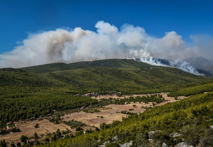 Σε τρία μέτωπα η πυρκαγιά στα Βίλια, στη μάχη και τα δύο ρωσικά «Ιλιούσιν» - Συνεχής βελτίωση στην Κερατέα