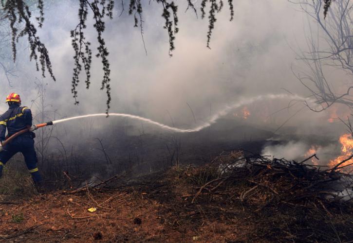 Κομοτηνή: Κάηκαν πάνω από 100 στρέμματα δασικής έκτασης στη Νυμφαία