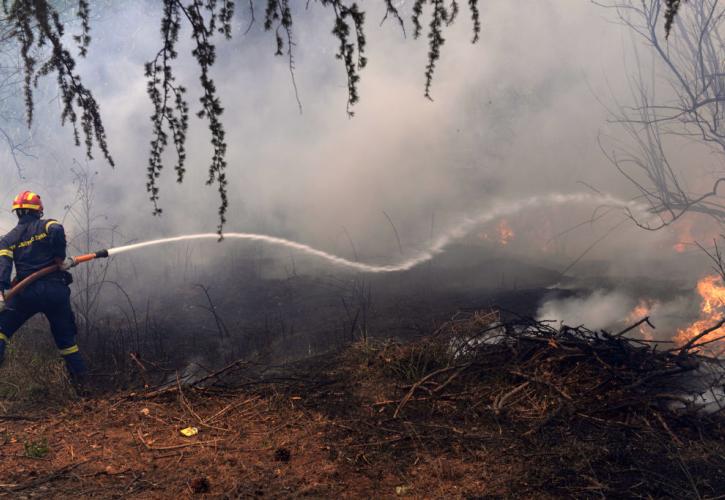 Βίλια: Στο όρος Πατέρας, προς το Πεδίο Βολής Μεγάρων, το μεγάλο μέτωπο - Δεν κινδυνεύουν οικισμοί