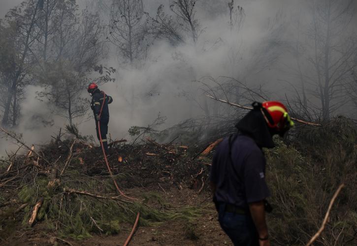 Βόρεια Εύβοια: Σε ύφεση τα μέτωπα της πυρκαγιάς - Πάνω από μισό εκατ. δασικών τ.μ. καμένα