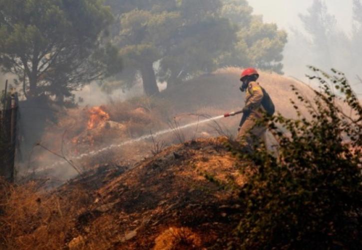 Πυρκαγιά στα Βίλια: Δύσκολη η νύχτα - Εκκενώνεται και ο οικισμός Βενίζα - «Η περιοχή μπορεί να γίνει Εύβοια»