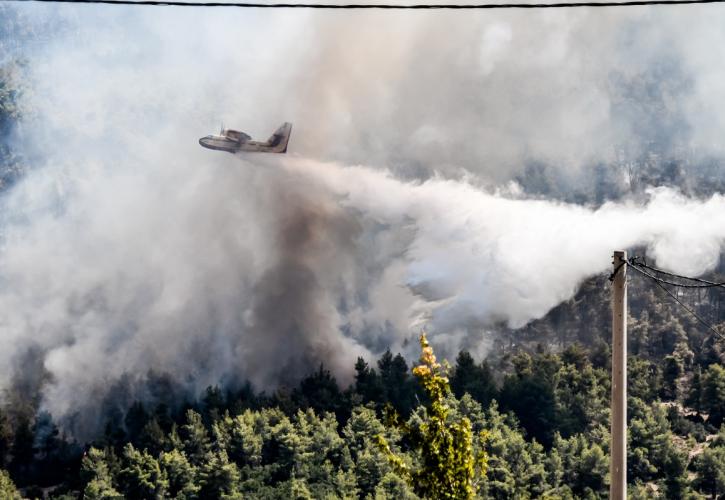 Φωτιά - Βίλια: Φλόγες μέσα στον οικισμό - Σε ετοιμότητα για εκκένωση