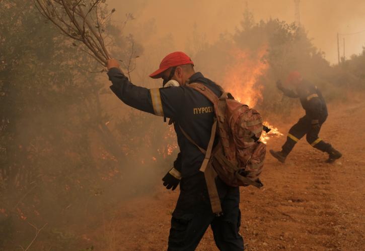 Συνολικά 53 δασικές πυρκαγιές εκδηλώθηκαν το τελευταίο εικοσιτετράωρο