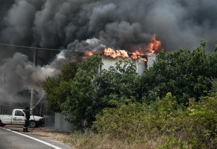 Πρόταση της Π. Αττικής για άμεση τακτοποίηση των εγγράφων και κατεστραμμένων οχημάτων των πυρόπληκτων