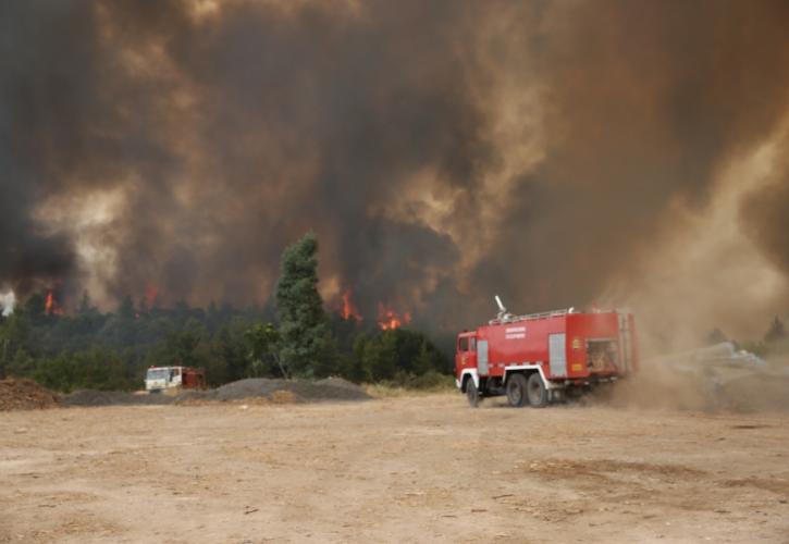 Δύσκολη η κατάσταση με την φωτιά στην Γορτυνία