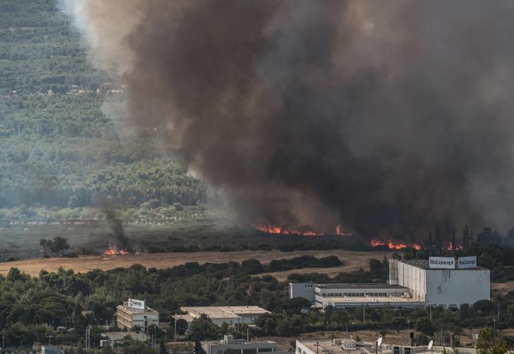 Δέκα παρεμβάσεις της Π. Αττικής για τη θωράκιση των πυρόπληκτων περιοχών της Αττικής