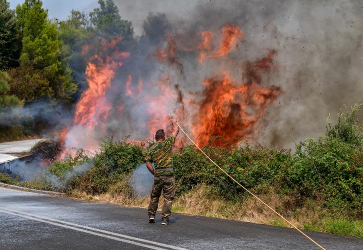 Πυρκαγιές: Επιμένει το μέτωπο στη Γορτυνία - Μάχη να σωθούν οι οικισμοί - Η εικόνα σε Ηλεία και Ανατολική Μάνη