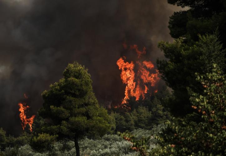 Πυρκαγιά στην Εύβοια: Οι φλόγες κυκλώνουν τα χωριά Αμέλαντες, Σκεπαστή 