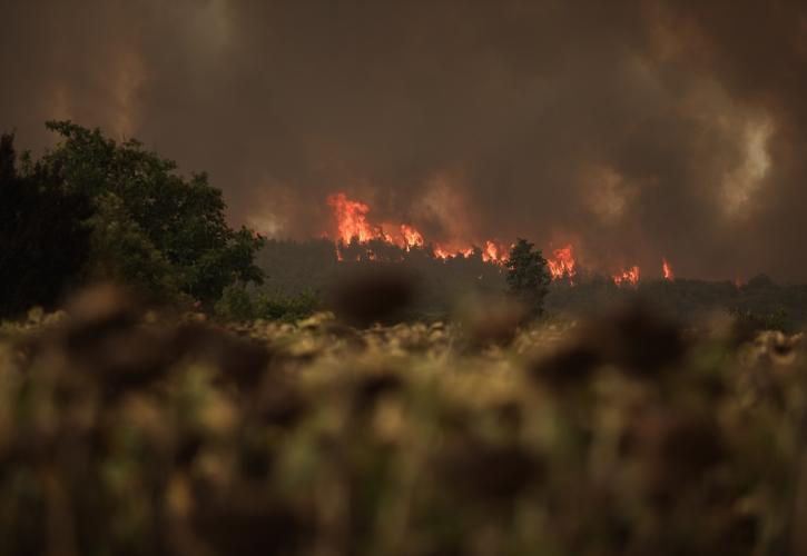 Γερμανικός Τύπος: Οι πυρκαγιές στην Εύβοια και η ώρα των ευθυνών