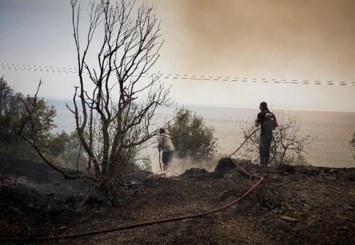 Meteo: Κάηκε το 1/3 των δασών της Εύβοιας