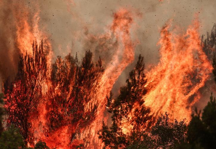 Γερμανικός Τύπος για πυρκαγιές στην Ελλάδα: Τα χειρότερα έρχονται;