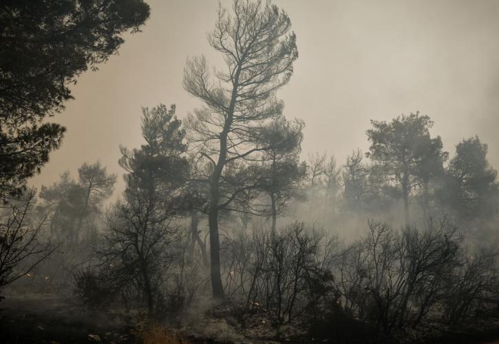 Τουρκία: Μαίνεται πυρκαγιά στα νοτιοδυτικά - Αναζωπυρώθηκε από τους ανέμους και τη ζέστη