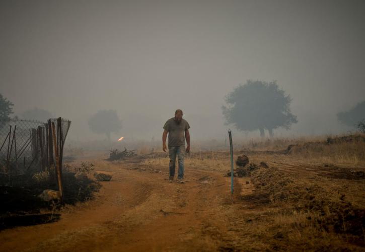 Ρέθυμνο: Πυρκαγιά στην περιοχή Ροδάκινο