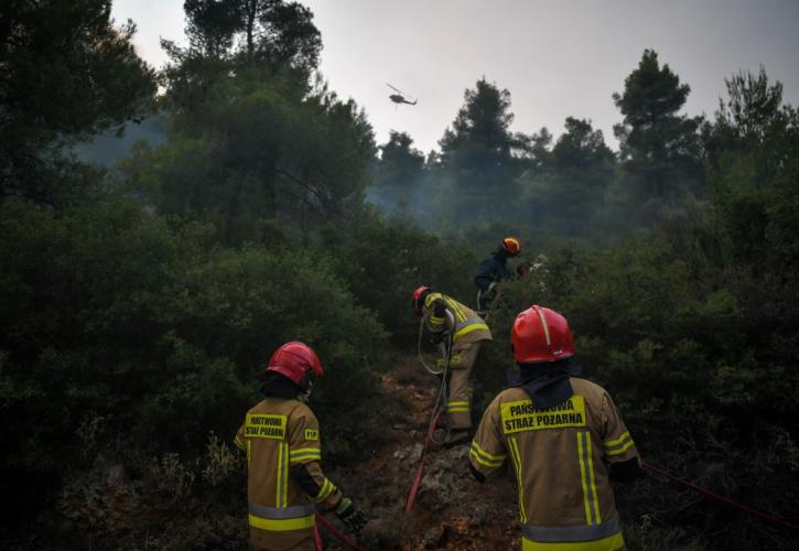 Αλεξανδρούπολη: Πυρκαγιά σε μεικτό δάσος πεύκου και δρυός στο Αετοχώρι