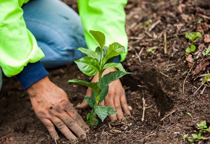 Η Nestlé παρουσιάζει το σχέδιό της για τη μετάβαση σε ένα αναγεννητικό σύστημα τροφίμων