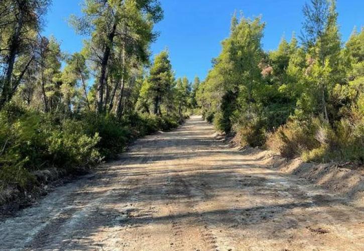 Μονοπάτια και βιώσιμος τουρισμός: Nέα «πράσινη» οικονομία στην ύπαιθρο