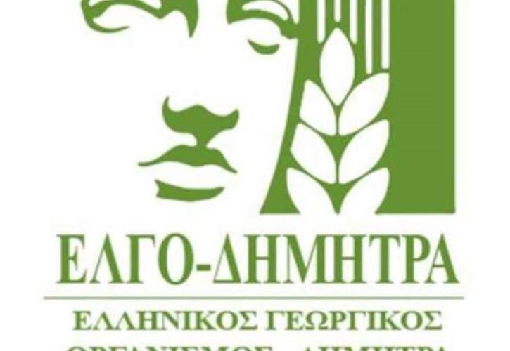 Η Γεωργία Μπόκα νέα αντιπρόεδρος του ΕΛΓΟ ΔΗΜΗΤΡΑ