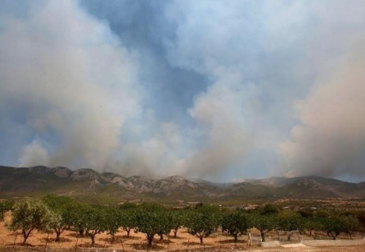 Υπό μερικό έλεγχο η πυρκαγιά σε δασική έκταση στην Κακιά Θάλασσα Κερατέας