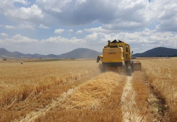 Αθηναϊκή Ζυθοποιία: Σημαντικά τα οφέλη σε κοινωνική αξία από το Πρόγραμμα Συμβολαιακής Καλλιέργειας Κριθαριού