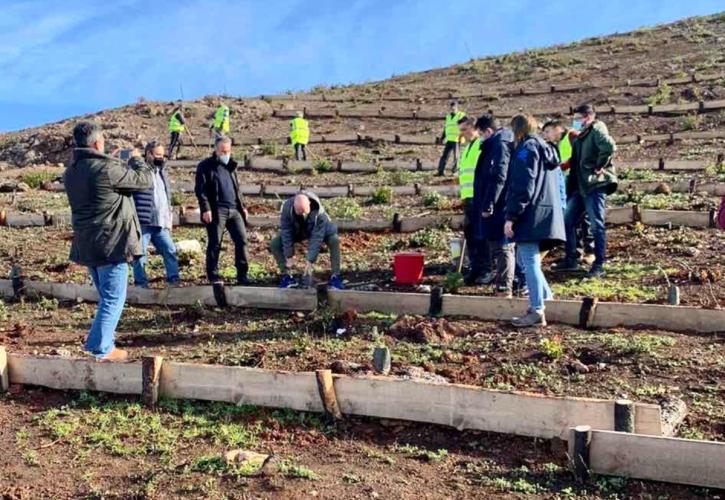 ΥΠΕΝ: 4.000 δέντρα φυτεύτηκαν στην πυρόπληκτη περιοχή της Λίμνης Ευβοίας