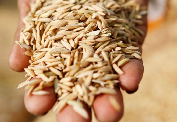 Σε υψηλό άνω των 2 μηνών οι τιμές σιταριού, μετά το εμπάργκο εξαγωγών από Ινδία