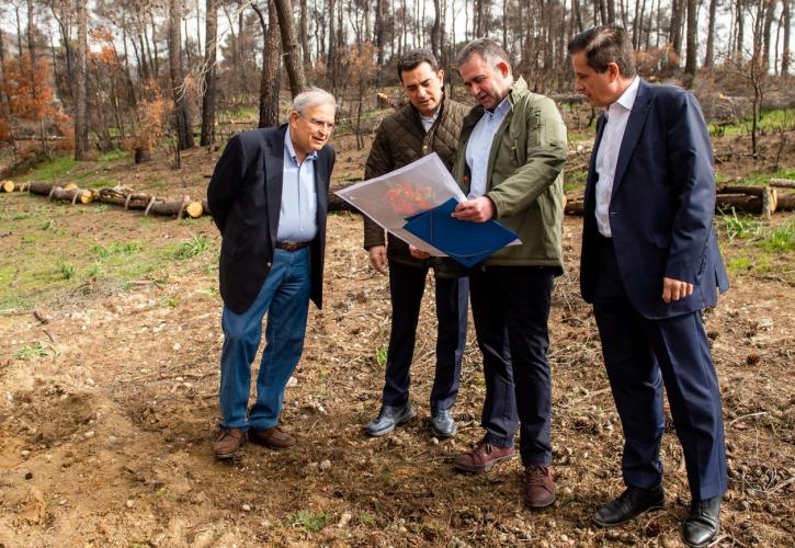 Ο Όμιλος ΕΛΛΗΝΙΚΑ ΠΕΤΡΕΛΑΙΑ συμβάλλει καθοριστικά στην αποκατάσταση πυρόπληκτων περιοχών