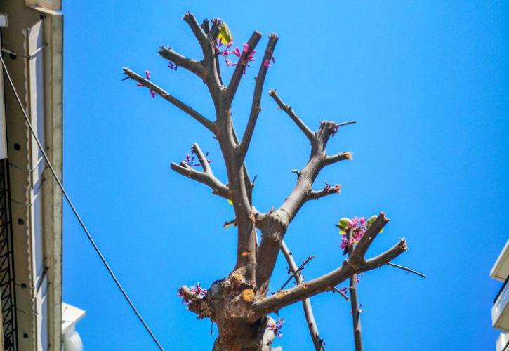 Τι ζήτησαν Σάντσεθ και Κόστα στο Συνέδριο του ΣΥΡΙΖΑ - Ποιον έστειλε ο Ανδρουλάκης