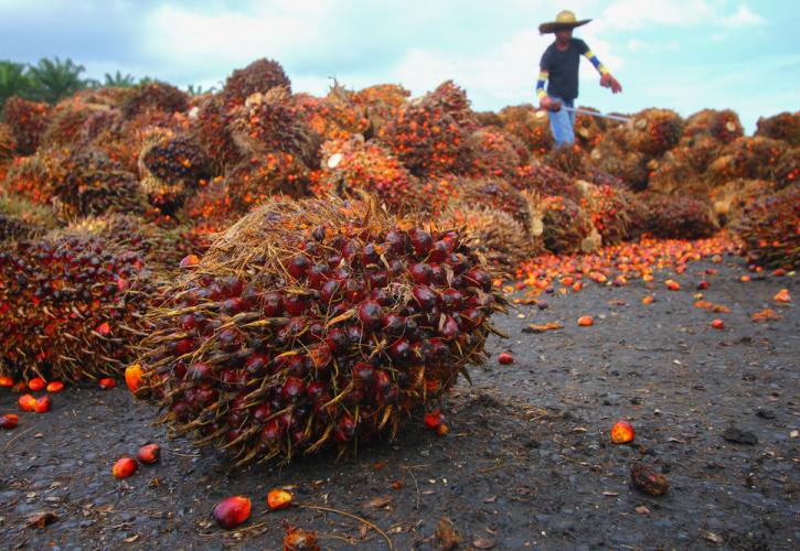 Η Ινδονησία «ανοίγει» ξανά τις εξαγωγές φοινικέλαιου για να βοηθήσει την παγκόσμια αγορά