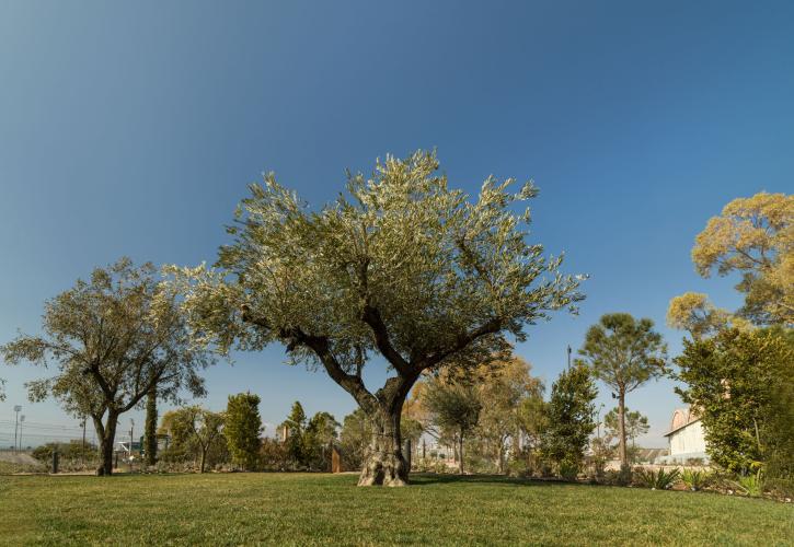 The Ellinikon Experience Park: Ανοίγει καθημερινά τις πόρτες από τις 10 το πρωί έως τις 11 το βράδυ