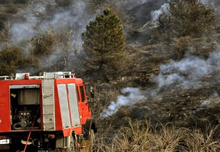 Χωρίς ενεργό μέτωπο η φωτιά στην Άνω Βούλα