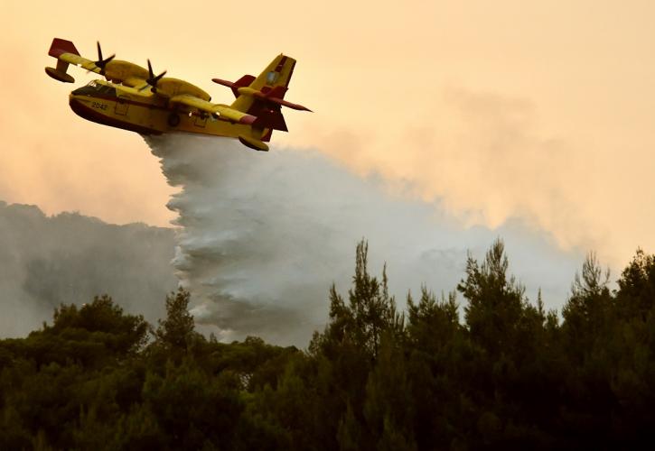 Ζάκυνθος: Μεγάλη πυρκαγιά στο χωριό Καμπί - Ισχυροί άνεμοι στην περιοχή