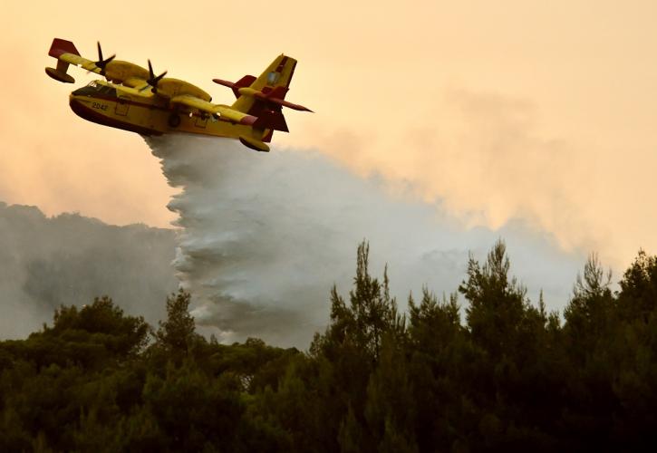 Φωτιές: Βελτιωμένη η κατάσταση σε Μέγαρα και Σαλαμίνα - Σε ολονύκτια επιφυλακή η Πυροσβεστική