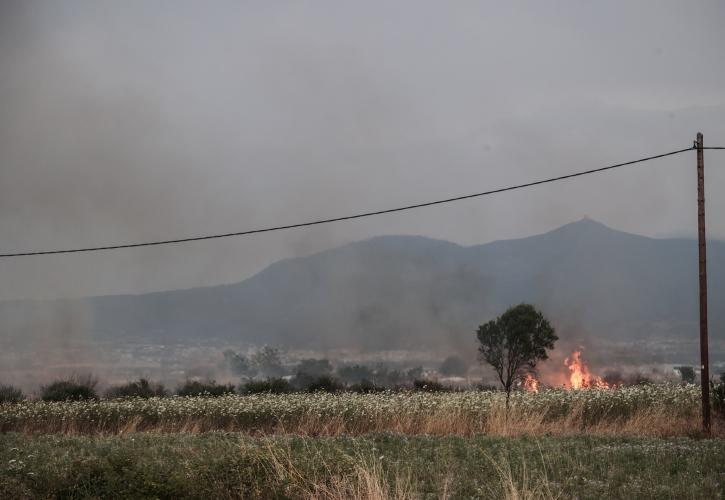 Εύβοια: Μεγάλη πυρκαγιά στο Αλιβέρι - Επιχειρούν ισχυρές δυνάμεις της Πυροσβεστικής