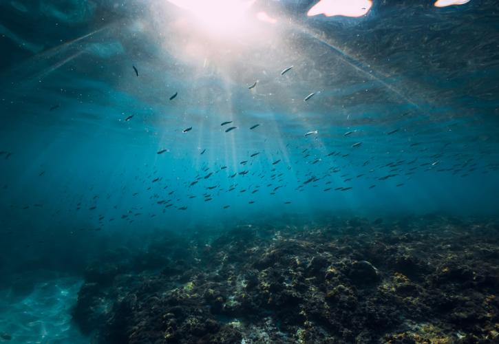 Κλίμα: Οι ωκεάνιοι καύσωνες απειλούν τα θαλάσσια οικοσυστήματα