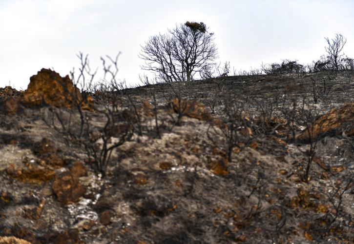 Φωτιές: Σε πύρινο κλοιό οι Κανάριες Νήσοι - Εκκενώσεις με αεροπλάνα στον Καναδά