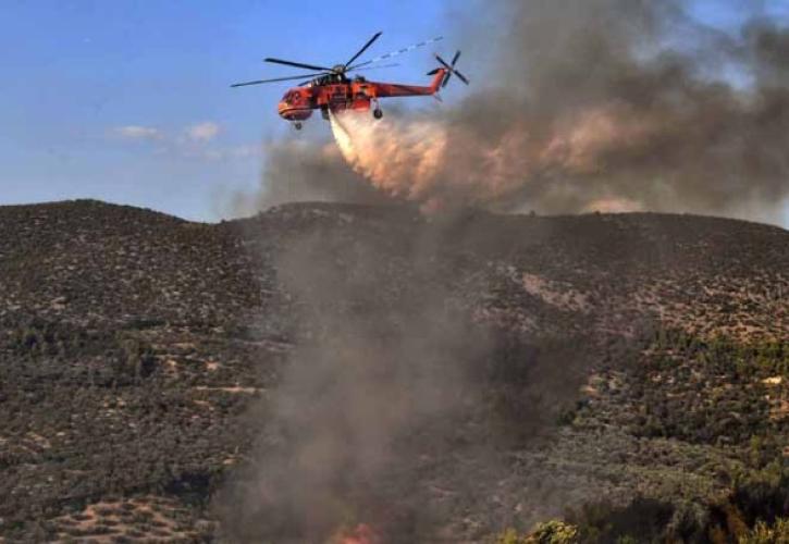 Πυρκαγιά σε δασική έκταση στην Κάτω Ποσειδωνία Λαυρίου - Μηνύματα από το 112