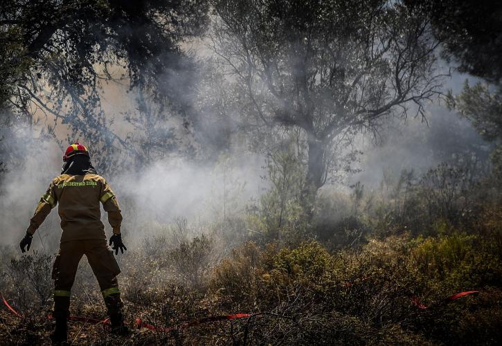 Δεν υπάρχει ενεργό μέτωπο σε Πεντέλη, Μέγαρα, Σαλαμίνα- Πολύ υψηλός κίνδυνος πυρκαγιάς και σήμερα