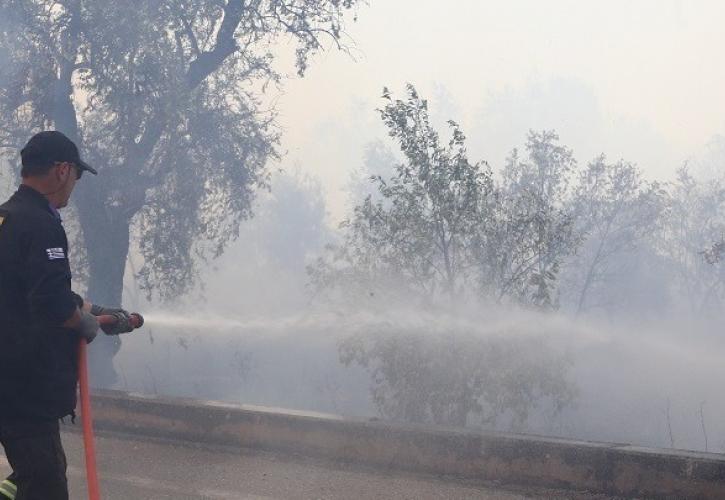 Ηράκλειο: Φωτιά στην Αγία Παρασκευή, του Δήμου Μινώα Πεδιάδος