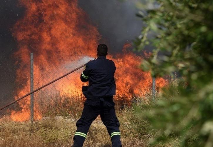 Λαμία: Σε δύο μέτωπα η φωτιά στο Πετρωτό Δομοκού