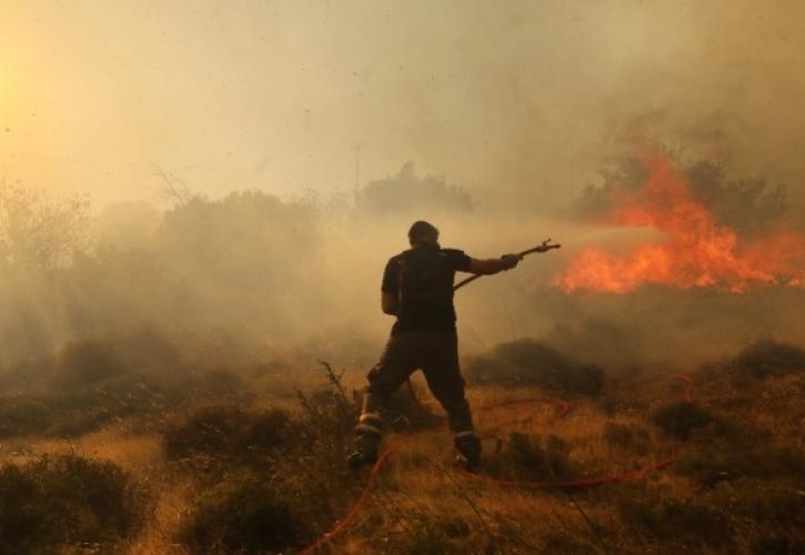 Ναύπακτος: Οριοθετήθηκε η φωτιά στην περιοχή Καραούλια