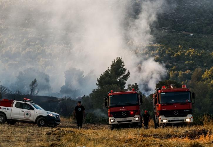 Πυρκαγιά σε δασική έκταση σε δύσβατο σημείο στη Σαμοθράκη