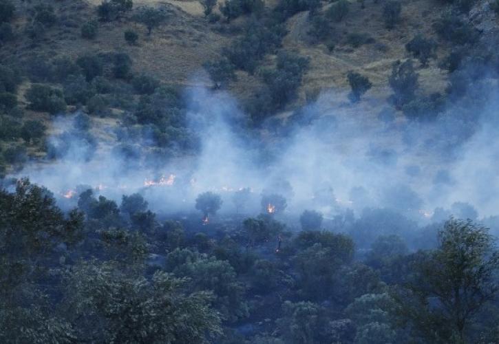 Ηράκλειο: Σε ύφεση η πυρκαγιά στον Δήμο Βιάννου