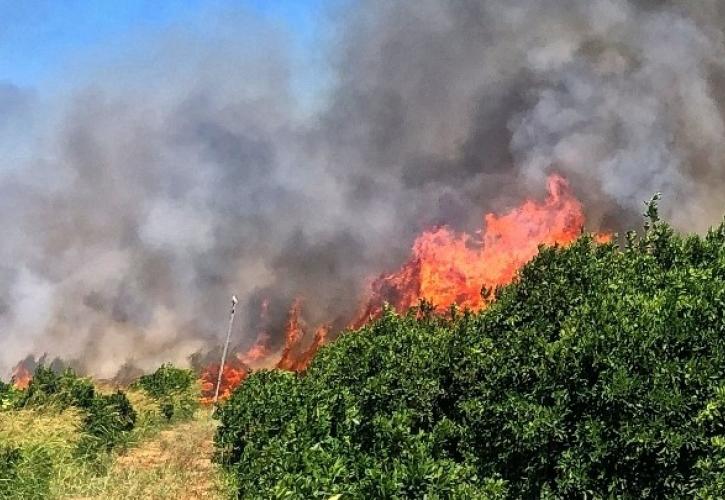 Ηράκλειο: Υπό έλεγχο έχει τεθεί φωτιά που ξέσπασε στα Πραιτώρια Μονοφατσίου