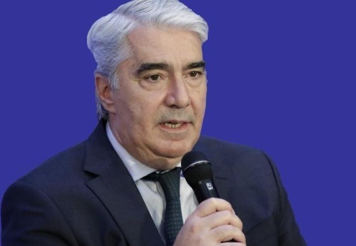 Κεδίκογλου: Δεν θα επιτρέψουμε περιστατικά κακοποίησης ζώων