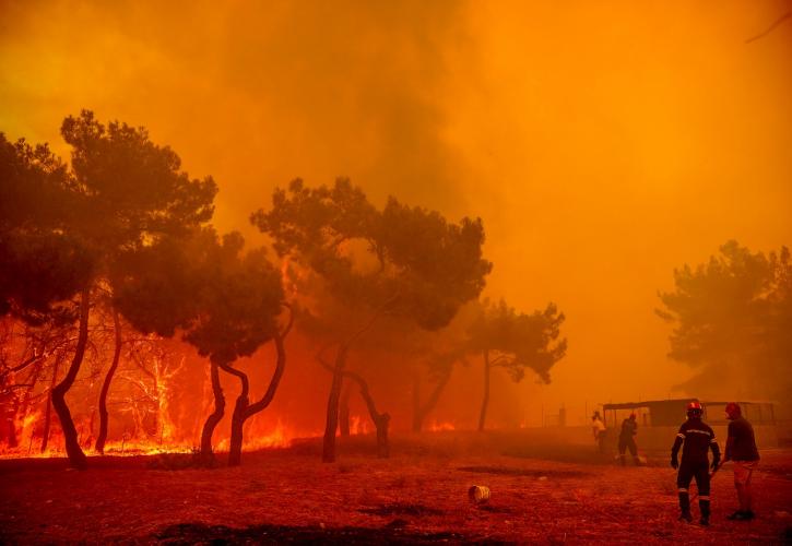 Πυρκαγιά στη Λέσβο: Κάηκαν σπίτια και επιχειρήσεις - Απεγκλωβίστηκαν άτομα από το λιμενικό στα Βατερά