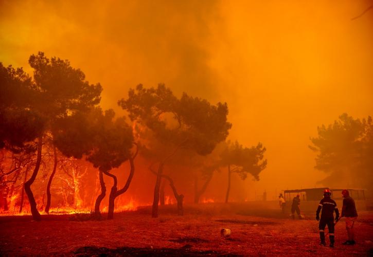 Πυρκαγιά στη Λέσβο: Κάηκαν σπίτια και επιχειρήσεις - Απεγκλωβίστηκαν άτομα από το λιμενικό στα Βατερά